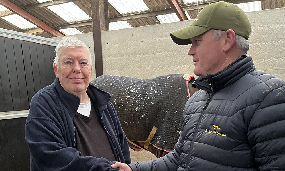 RACING SHOW ON SAFARI AGAIN!